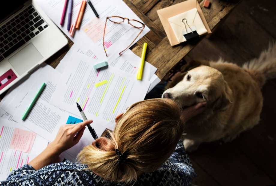 Animaux de compagnie au bureau : autorisez vos employés à venir accompagnés